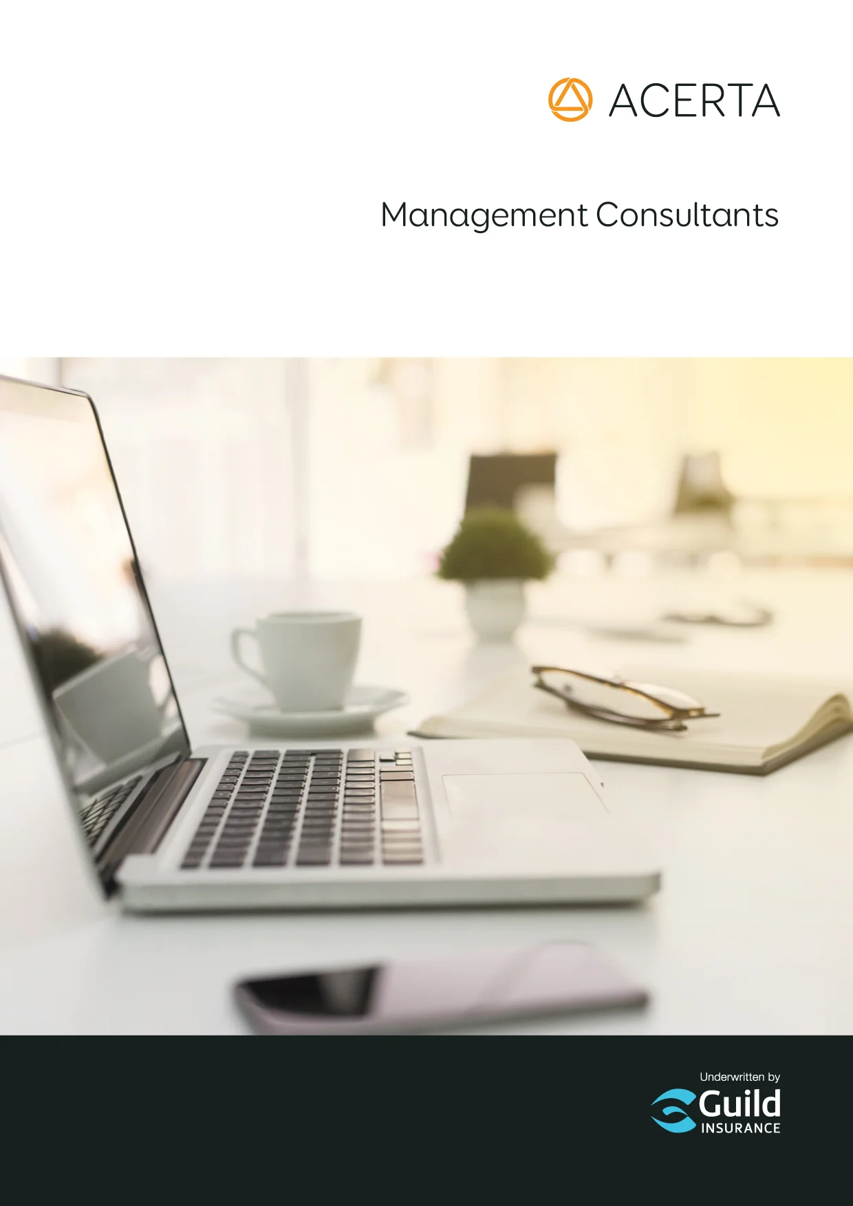 Acerta_Management_consultants insurance